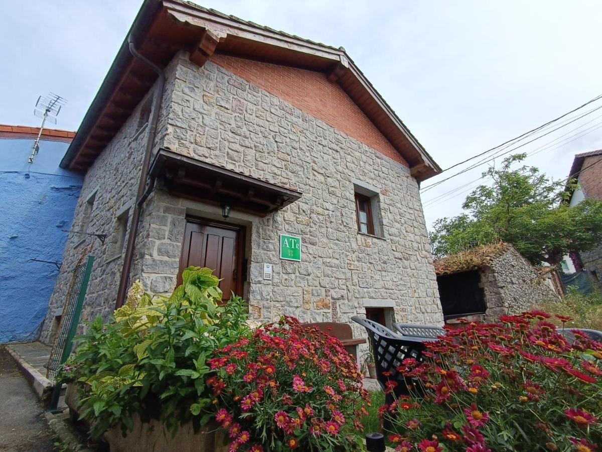 Apartamento Arena Tu En *